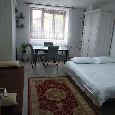 Fully Furnished Studio Sighetu Marmaţiei Exterior foto