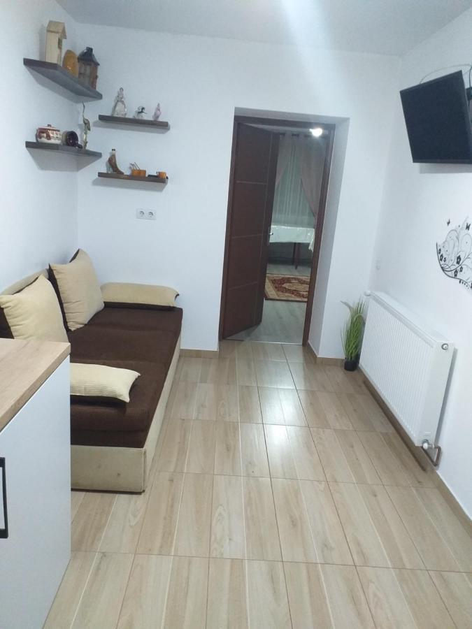 Fully Furnished Studio Sighetu Marmaţiei Exterior foto
