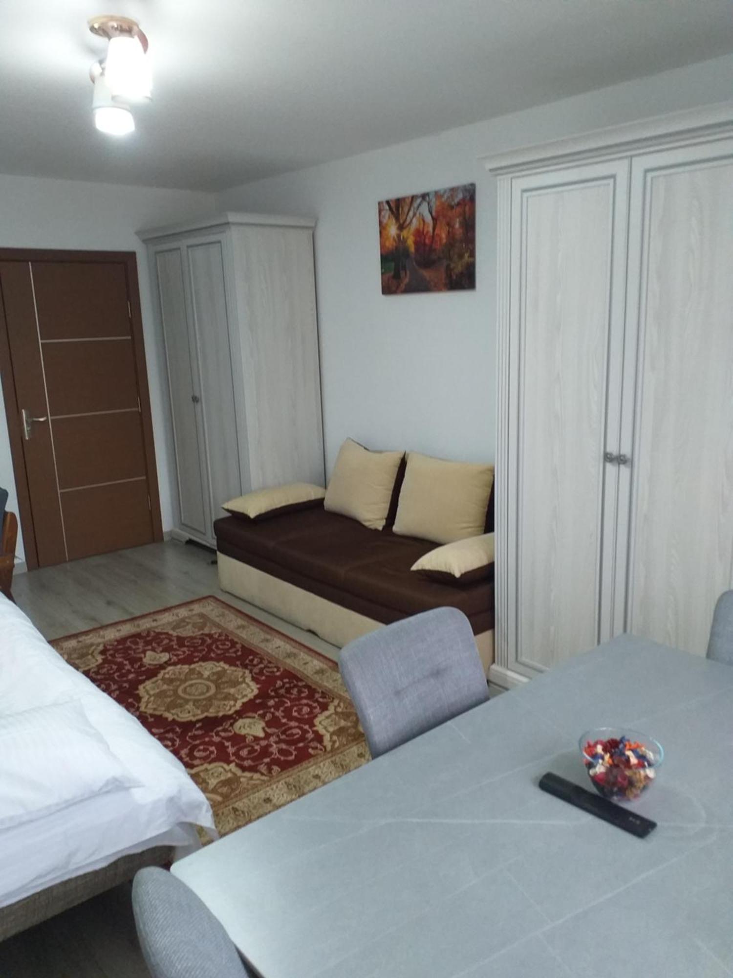 Fully Furnished Studio Sighetu Marmaţiei Exterior foto