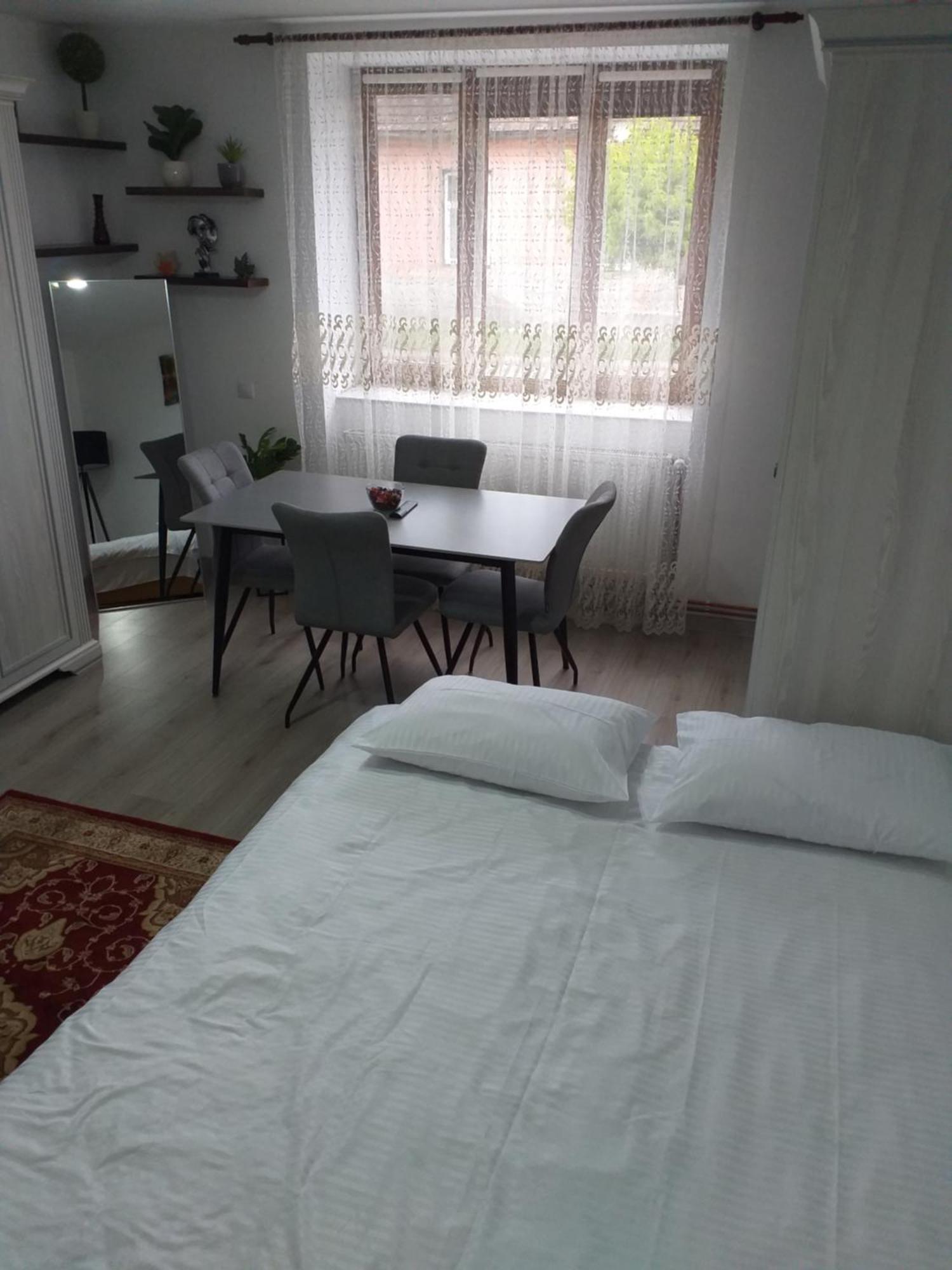 Fully Furnished Studio Sighetu Marmaţiei Exterior foto
