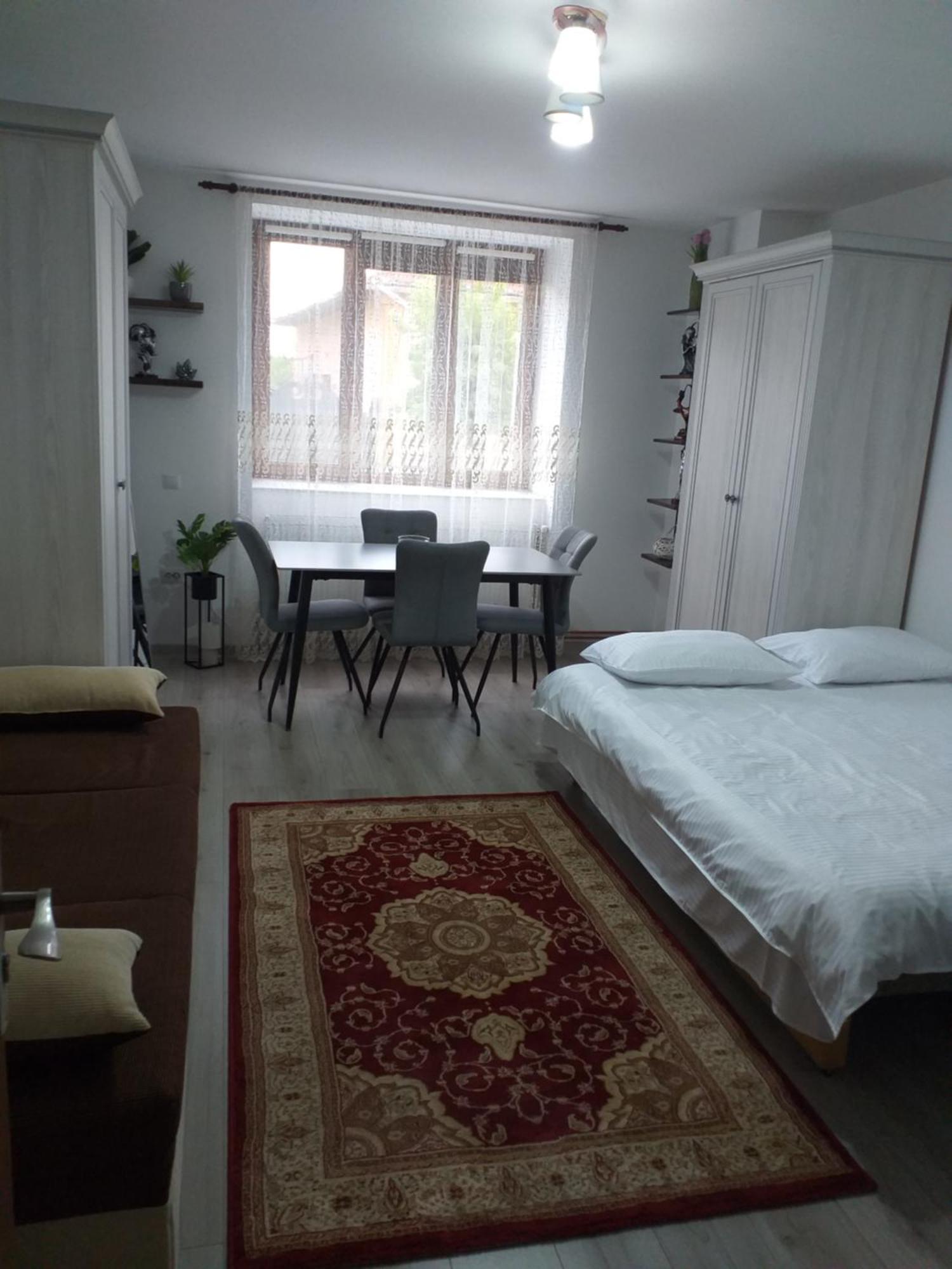 Fully Furnished Studio Sighetu Marmaţiei Exterior foto